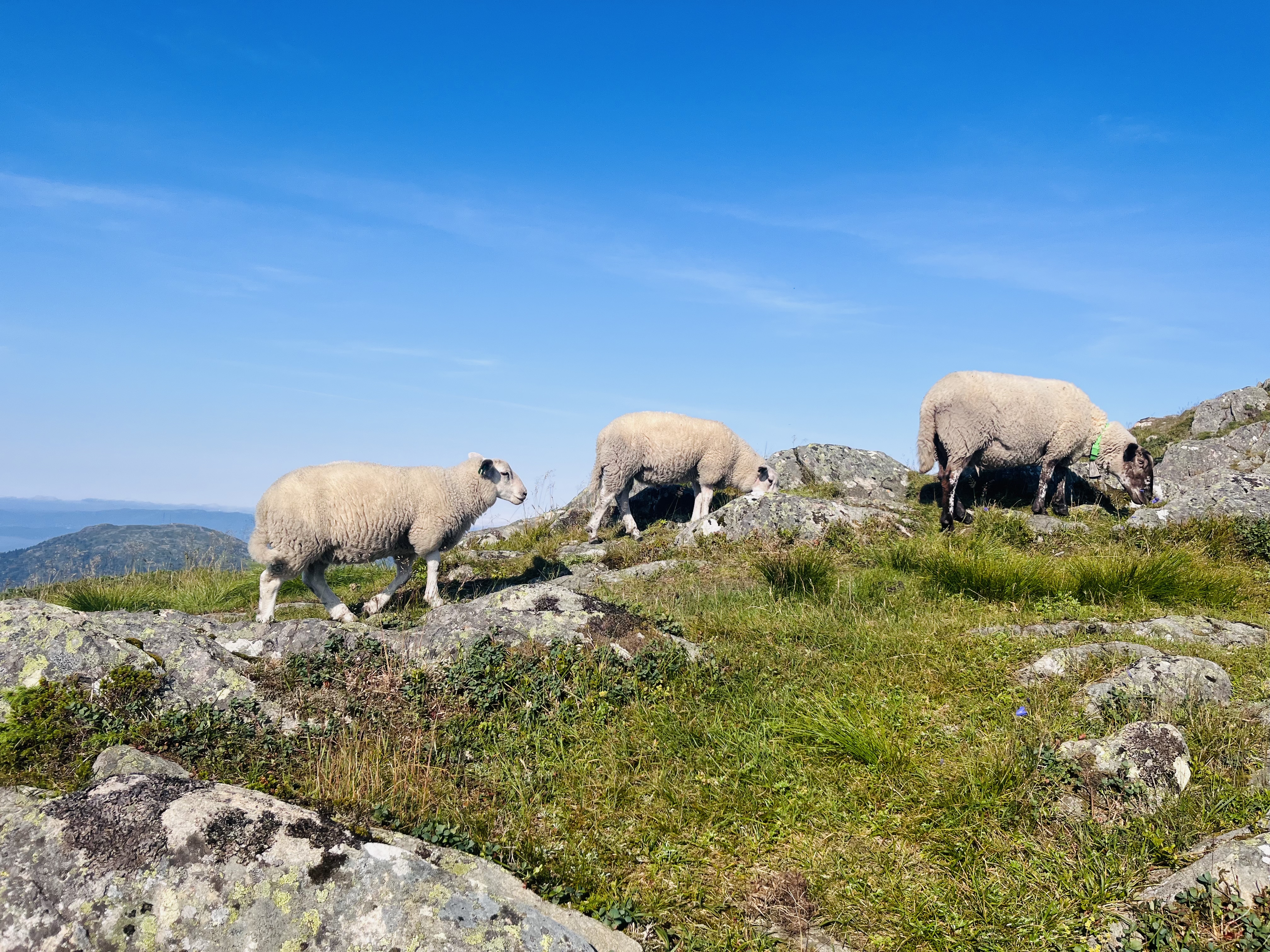 2025-07-19 09.48.30-1