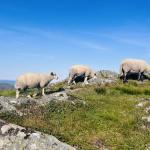 2025-07-19 09.48.30-1