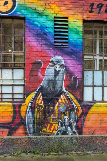 DSC_0604