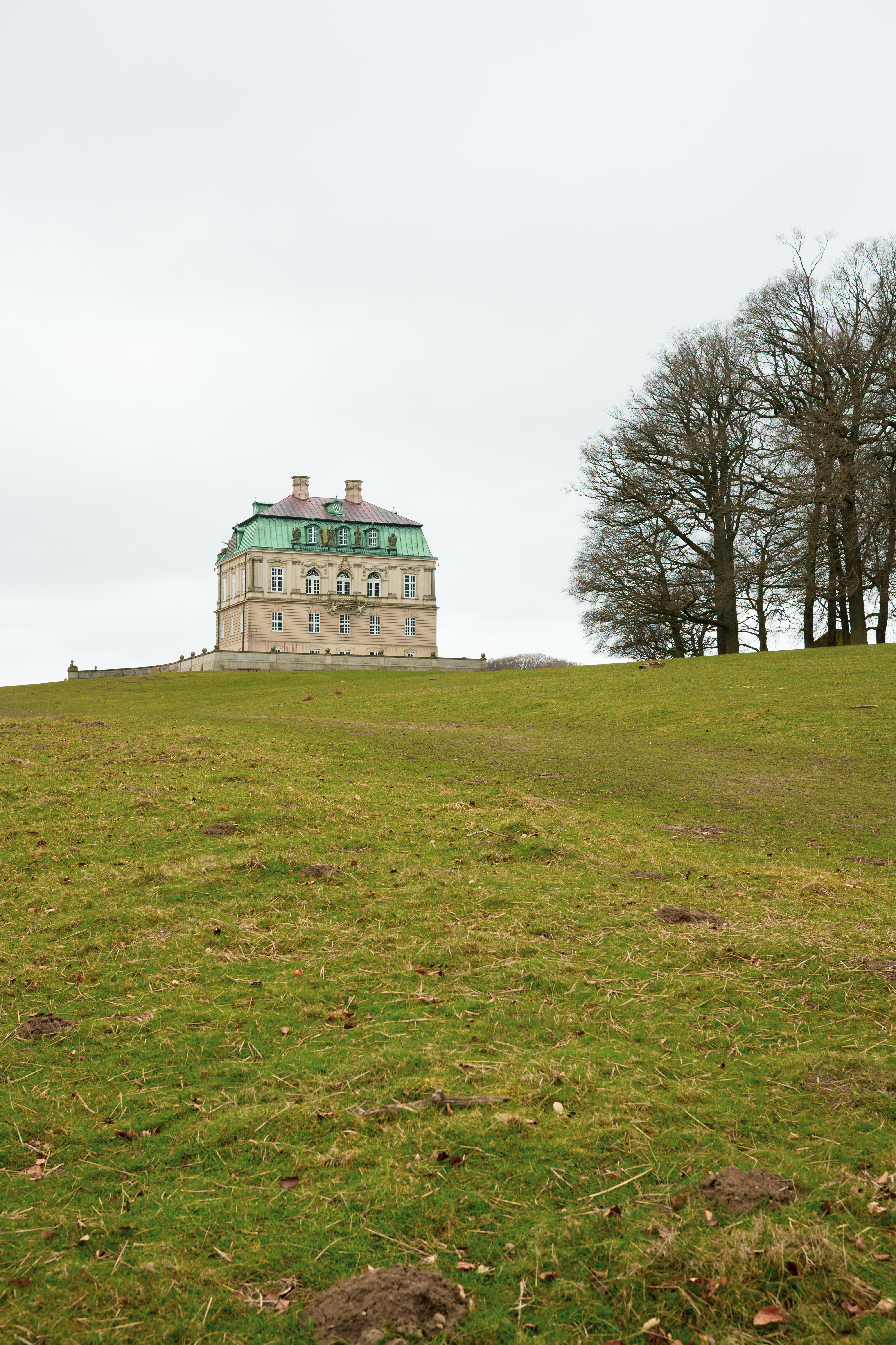 DSC_0678