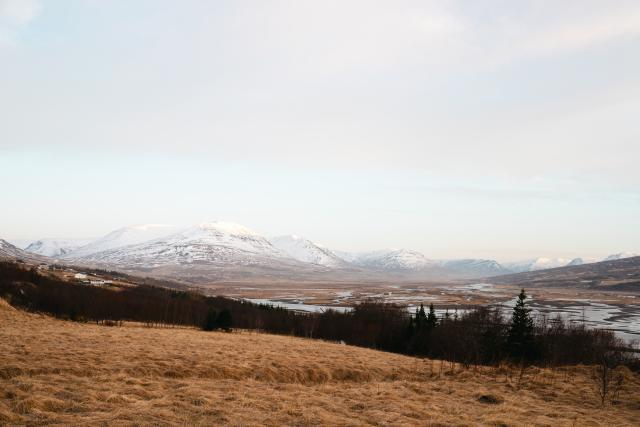 DSC_0706