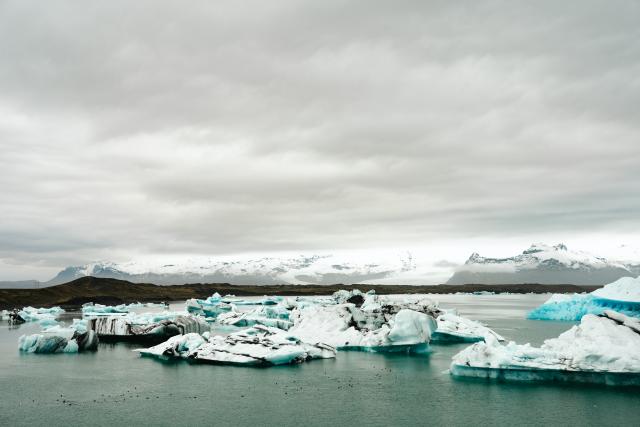 DSC_0844