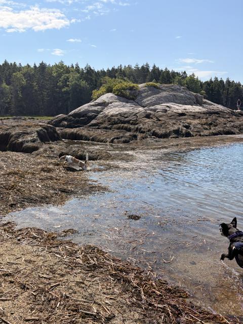 2026-07-16 09.58.28-1