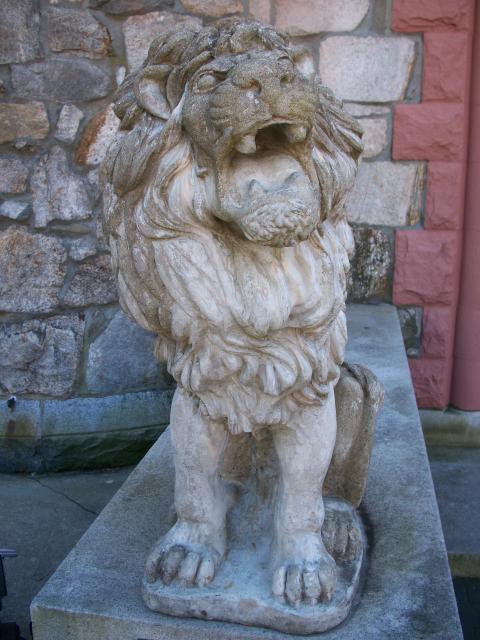 lion