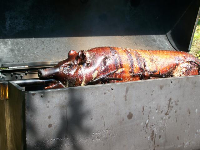 pig roast frontal