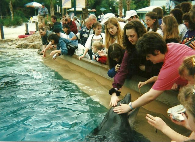 GS trip to Florida, Sea World