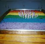 CMP -- awesome b-day cake