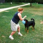 CMP -- Sassy and Garp's dog