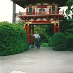 dad at Japanese Tea Gardens