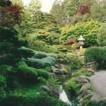 gorgeous greenery at Japanese Tea Gardens