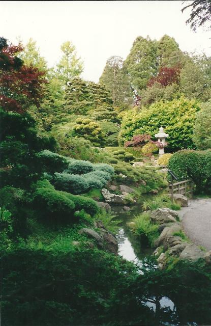 gorgeous greenery at Japanese Tea Gardens