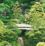 Japanese Tea Gardens