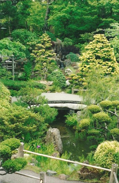 Japanese Tea Gardens