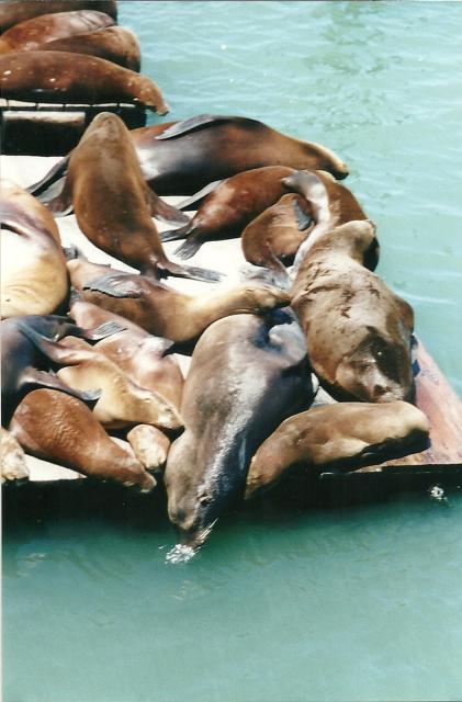 blowing bubbles, Pier 39