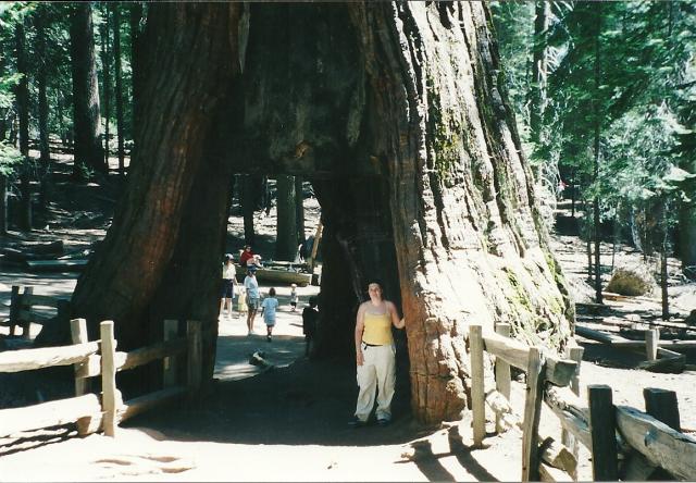 me inside tree in Mariposa Forest, Yosemite
