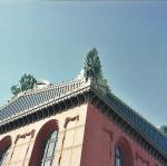 Chicago Public Library owls