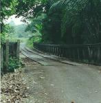 bridge to Kuala Lompat