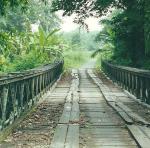 rickety bridge to Kuala Lompat