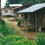 Orang Asli huts in Krau