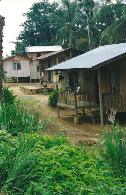 Orang Asli huts in Krau