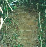 stairs to the kitchen, Lubuk Baung