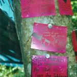 signs at the bat lab