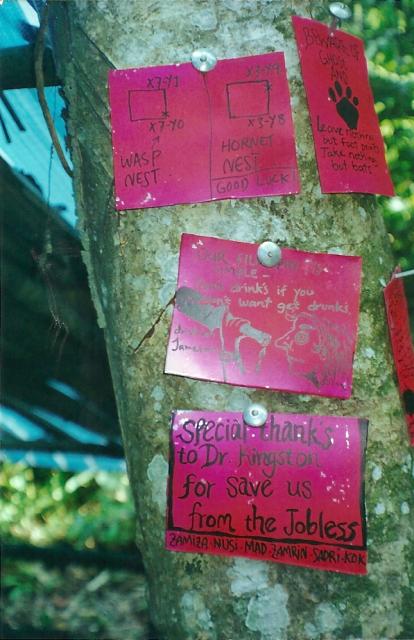 signs at the bat lab