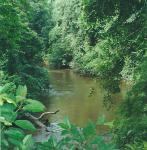 Sungai river, Kuala Lompat