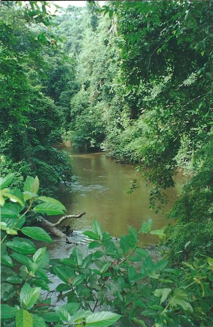 Sungai river, Kuala Lompat
