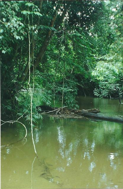 river at Lubuk Baung