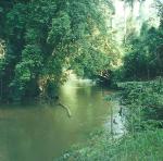 more river at Lubuk Baung