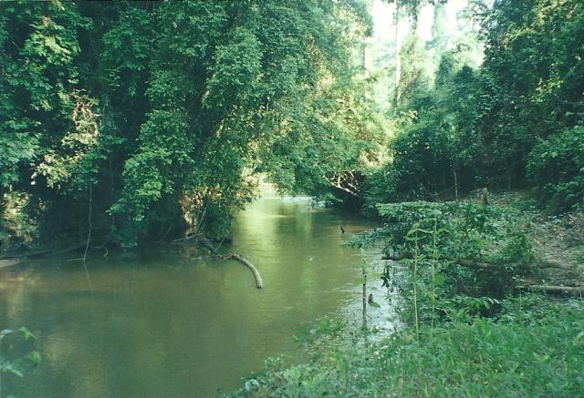 more river at Lubuk Baung