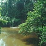 Sungai river after a rain, Kuala Lompat