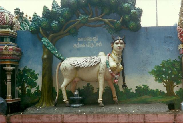 woman, cow, and peacock all in one, Batu Caves