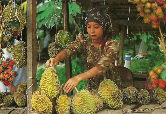 durian vendor, Malaysia